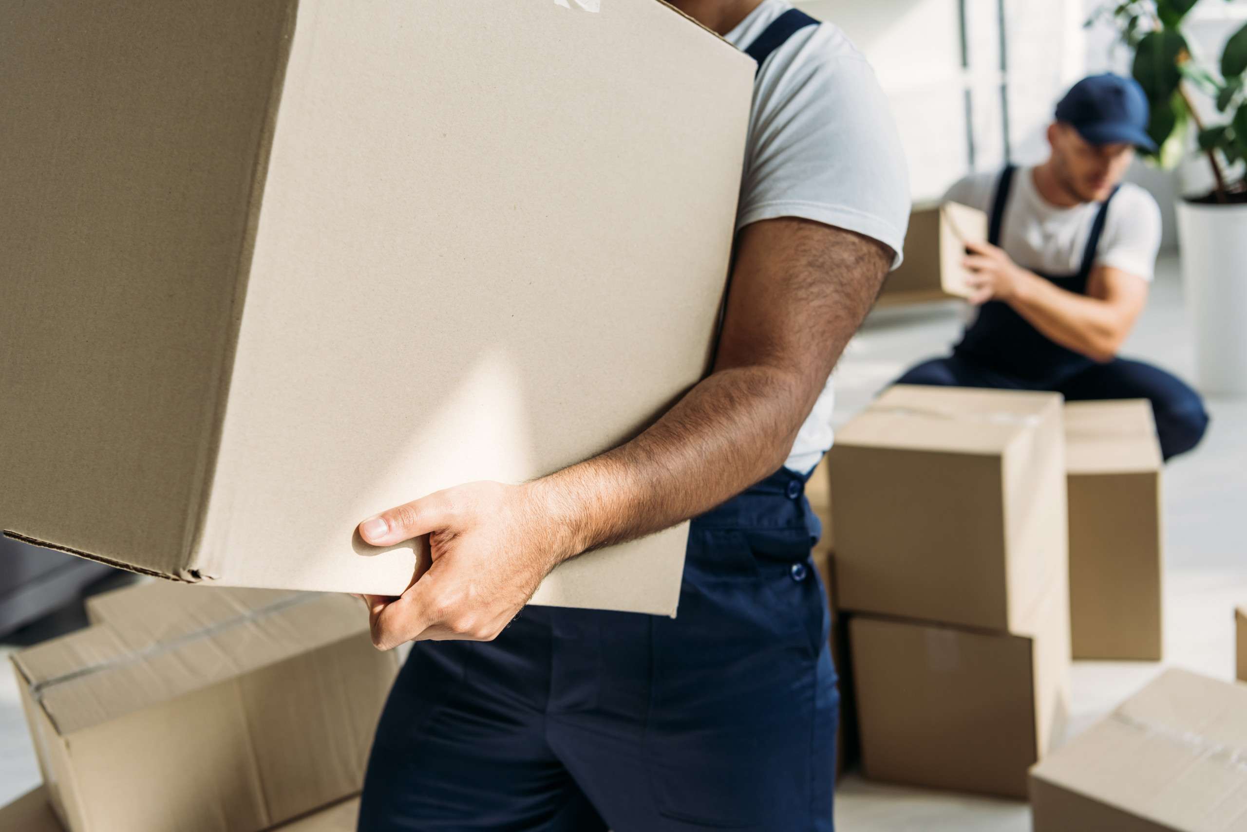 White Bear Lake movers and packers carrying boxes in a customerβs home